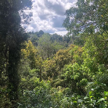 TawharanuiKaka Ridge Retreat Bush Hideawayアパートメント エクステリア 写真